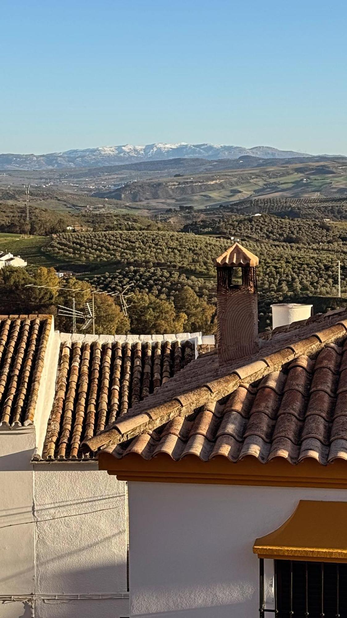 Lemon Tree Patio Villa Olvera Dış mekan fotoğraf